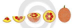 Gac fruit logo. Isolated gac fruit on white background