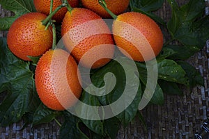 Gac fruit or momordica or sweet gourd