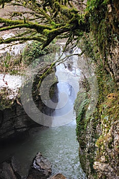 Gachedili (Martvili) canyon in Georgia