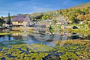 Gacka river spring, colorful nature