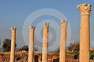 Gadara Corinthian Columns