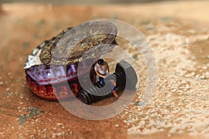 Top View Photo, Gadget Freak or addicted, Sitting Man Holding Smartphone at Corrosive Screw under stack of bottle cups