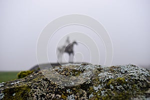 The Gaelic Chieftain Sculpture seen in the distance through the fog in County Roscommon in Ireland photo