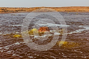 Gaet'ale Pond in Danakil depression, Ethiopia. Hypersaline lake with bubbling ga