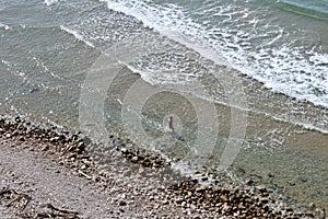 Gaeta - Turista solitaria sulla riva della Spiaggia di Sant`Agostino photo