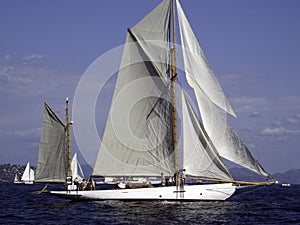 Gaff rigged yacht