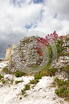 Gaillard Castle ruins