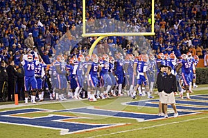 Gainesville gators american football