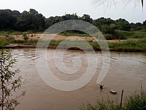 Gal oya river Sri Lanka