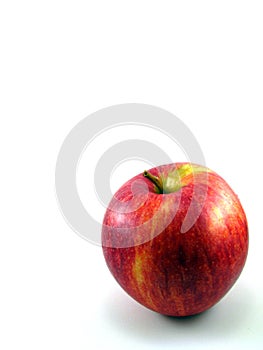 Gala Apple