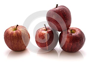 Gala Apples