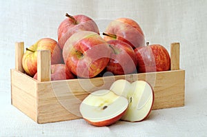 gala apples photo