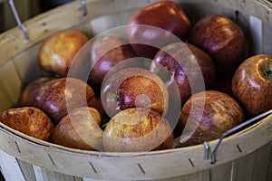 Gala apples in a basket