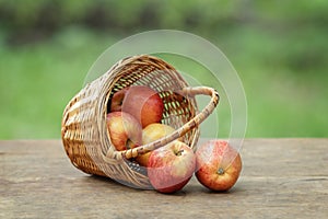 Gala apples in a wicker basket