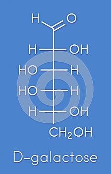 Galactose sugar molecule. Present in milk and dairy products. Skeletal formula.