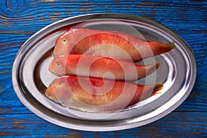 Galan fish Xyrichtys novacula seafood photo