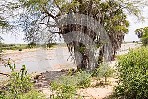 Galana River, Tsavo East National Park photo