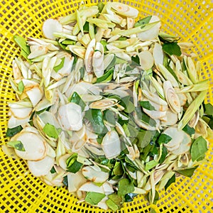 Galanga, lemon grass and kaffir lime leaf on white background, s