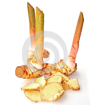 Galangal