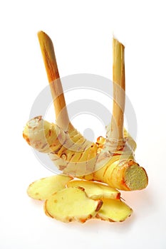 Galangal