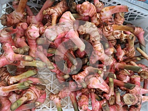 Galangal as herbs for local identic food