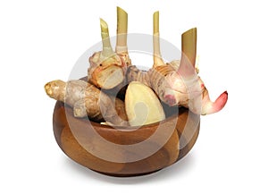 Galangal and Ginger Root