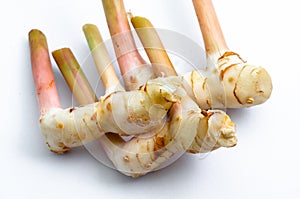 Galangal