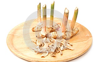 Galangal root ,fresh and dried herb