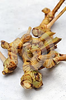 Galangal root on metal tray