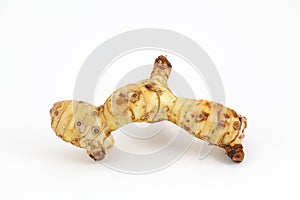 Galangal root on white background