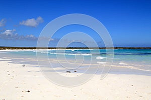 Galapagos beach- Tortuga Bay