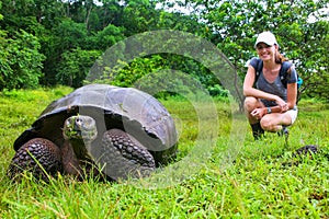 Galapagos giant tortoise with young woman blurred in background photo