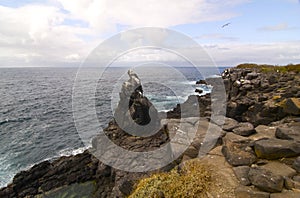 Galapagos Island - Beautiful Isla Santa FÃ©