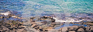 Galapagos Islands - August 24, 2017: Sealion in Plaza Sur island, Galapagos Islands, Ecuador