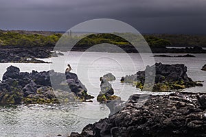 Galapagos Islands - August 26, 2017: Landscape of the Lava tunnels of Isabela Island, Galapagos Islands, Ecuador