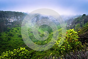 Galapagos Islands - July 22, 2017: Volcanic crater of Santa Cruz Island