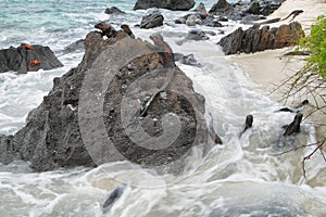 Galapagos Marine Iguanas resting on rocks