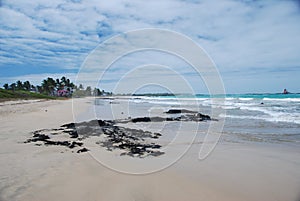 Galapagos Pacific beach