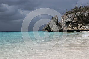 Galapagos sea lion relaxing on the sand