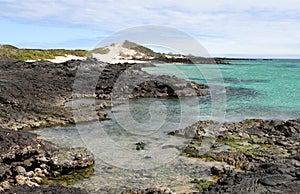 Galapagos Shoreline