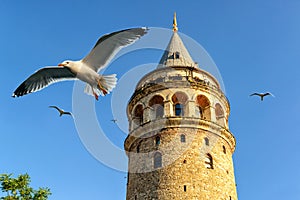 Galata Tower, Istanbul, Turkey