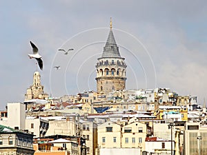 Galata in winter photo