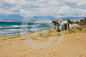 Gale at beach