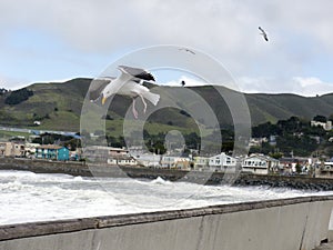 Gale force wind at Pacifica California