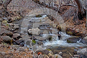 Galena creek