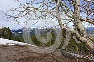 Galena Summit, Idaho