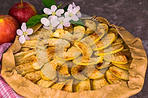 Galetas with apples and rye flour with cinnamon. Homemade apple pie on a gray background. Close-up.