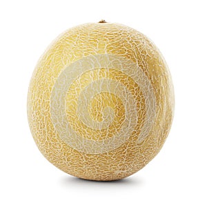 Galia melon
