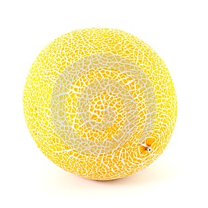 Galia melon