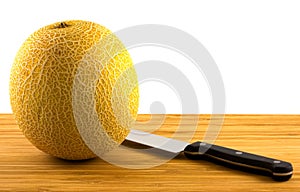 Galia Melon